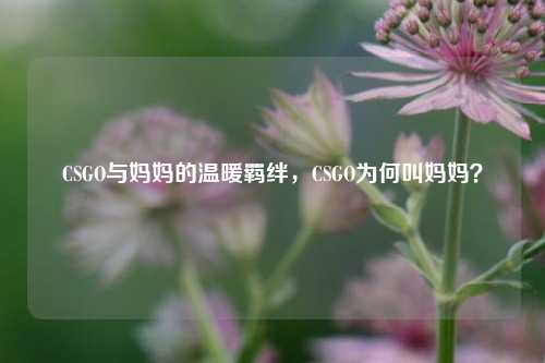CSGO与妈妈的温暖羁绊,CSGO为何叫妈妈?
