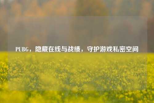 PUBG,隐藏在线与战绩,守护游戏私密空间