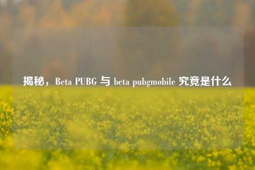 揭秘,Beta PUBG 与 beta pubgmobile 究竟是什么