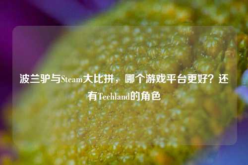 波兰驴与Steam大比拼,哪个游戏平台更好?还有Techland的角色