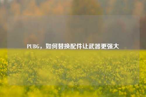 PUBG,如何替换配件让武器更强大