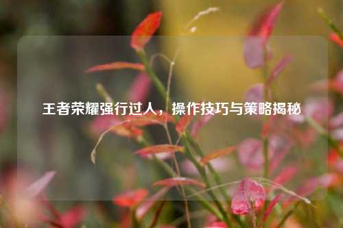 王者荣耀强行过人,操作技巧与策略揭秘