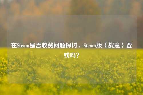 在Steam是否收费问题探讨,Steam版〈战意〉要钱吗?