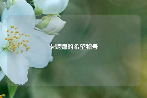 卡妮娜的希望称号