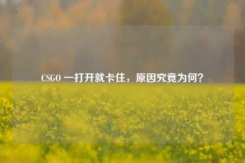 CSGO 一打开就卡住,原因究竟为何?