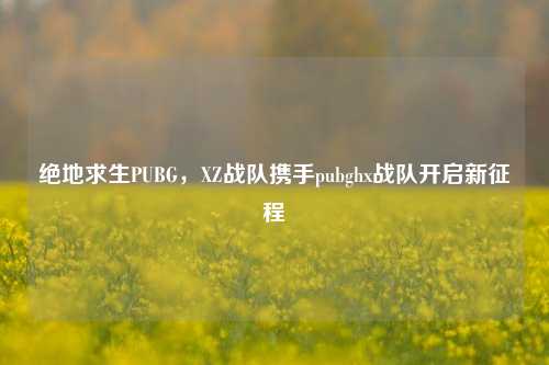 绝地求生PUBG,XZ战队携手pubghx战队开启新征程