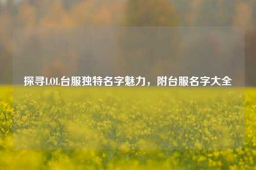 探寻LOL台服独特名字魅力,附台服名字大全