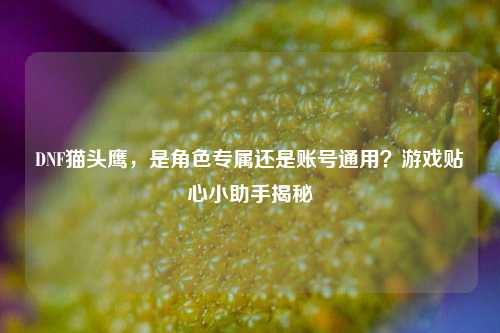 DNF猫头鹰,是角色专属还是账号通用?游戏贴心小助手揭秘
