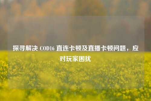探寻解决 COD16 直连卡顿及直播卡顿问题，应对玩家困扰
