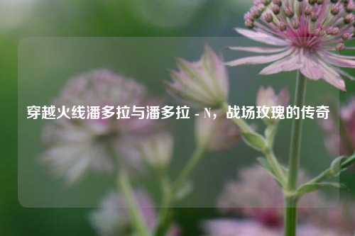 穿越火线潘多拉与潘多拉 - N，战场玫瑰的传奇