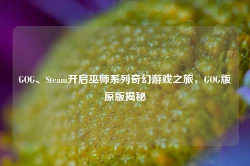 GOG、Steam开启巫师系列奇幻游戏之旅,GOG版原版揭秘
