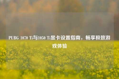 PUBG 1070 Ti与1050 Ti显卡设置指南,畅享极致游戏体验