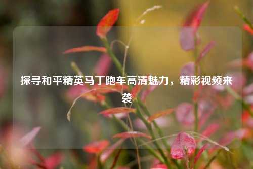 探寻和平精英马丁跑车高清魅力，精彩视频来袭