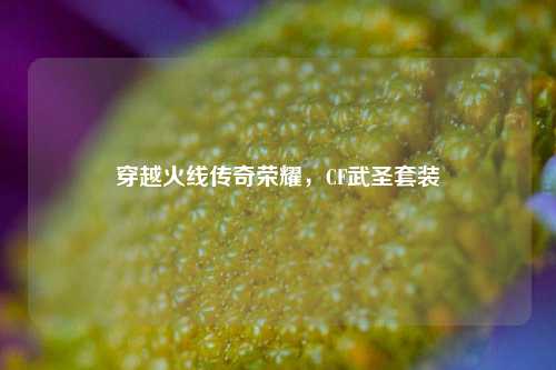 穿越火线传奇荣耀，CF武圣套装