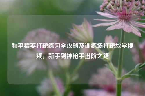 和平精英打靶练习全攻略及训练场打靶教学视频,新手到神枪手进阶之路