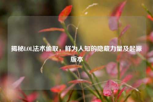 揭秘LOL法术偷取,鲜为人知的隐藏力量及起源版本