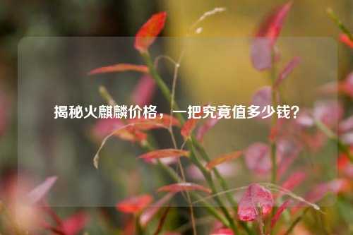揭秘火麒麟价格，一把究竟值多少钱？