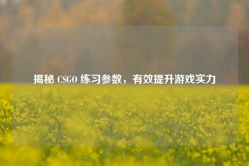 揭秘 CSGO 练习参数,有效提升游戏实力