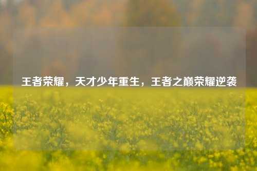 王者荣耀,天才少年重生,王者之巅荣耀逆袭