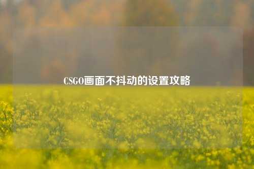 CSGO画面不抖动的设置攻略