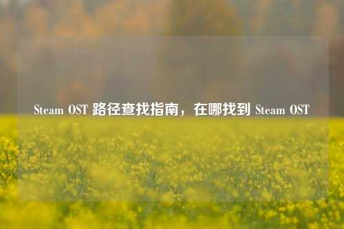 Steam OST 路径查找指南,在哪找到 Steam OST