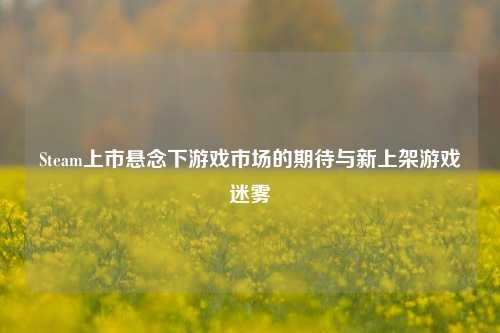Steam上市悬念下游戏市场的期待与新上架游戏迷雾