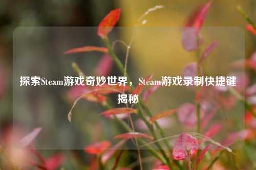 探索Steam游戏奇妙世界，Steam游戏录制快捷键揭秘