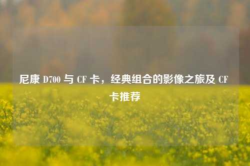 尼康 D700 与 CF 卡,经典组合的影像之旅及 CF 卡推荐