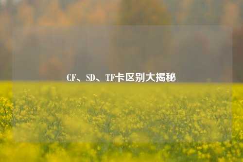 CF、SD、TF卡区别大揭秘