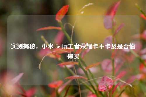 实测揭秘，小米 5c 玩王者荣耀卡不卡及是否值得买