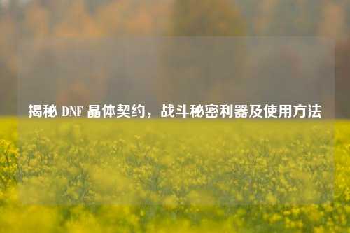 揭秘 DNF 晶体契约，战斗秘密利器及使用方法