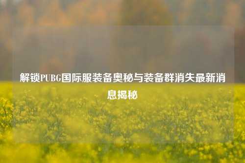 解锁PUBG国际服装备奥秘与装备群消失最新消息揭秘