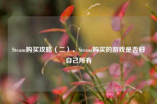 Steam购买攻略(二),Steam购买的游戏是否归自己所有