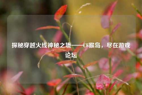 探秘穿越火线神秘之境——CF猴岛,尽在游戏论坛