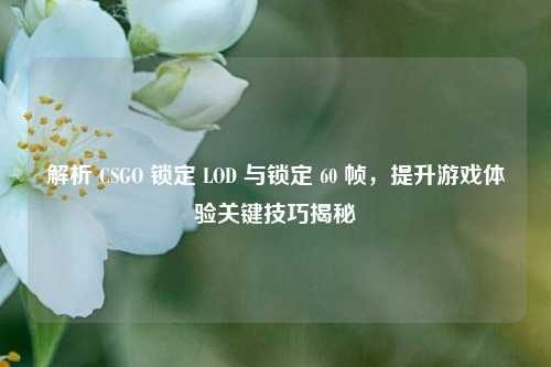 解析 CSGO 锁定 LOD 与锁定 60 帧，提升游戏体验关键技巧揭秘