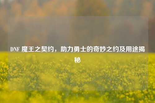 DNF 魔王之契约,助力勇士的奇妙之约及用途揭秘