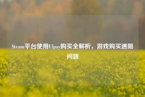 Steam平台使用Ulpay购买全解析,游戏购买遇阻问题