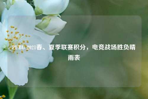 PUBG 2021春、夏季联赛积分,电竞战场胜负晴雨表