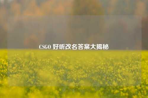 CSGO 好听改名答案大揭秘