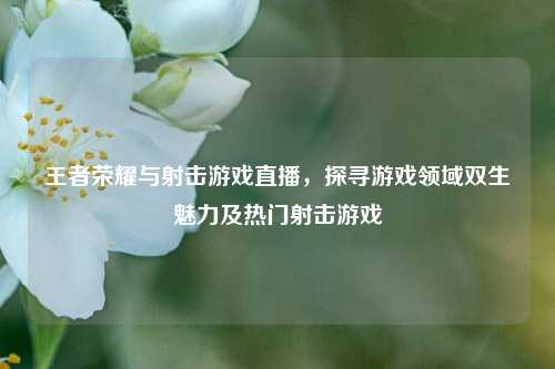 王者荣耀与射击游戏直播，探寻游戏领域双生魅力及热门射击游戏