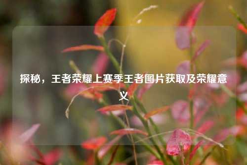 探秘,王者荣耀上赛季王者图片获取及荣耀意义