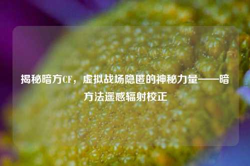 揭秘暗方CF,虚拟战场隐匿的神秘力量——暗方法遥感辐射校正