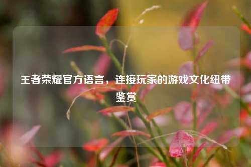 王者荣耀官方语言,连接玩家的游戏文化纽带鉴赏