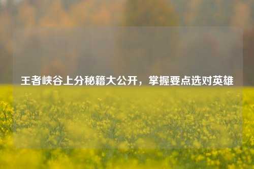王者峡谷上分秘籍大公开，掌握要点选对英雄