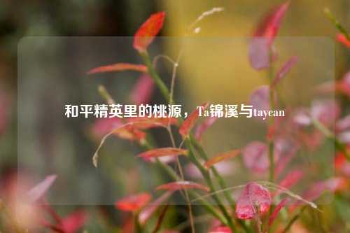 和平精英里的桃源，Ta锦溪与taycan