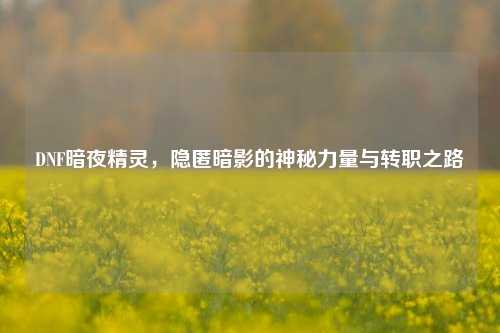 DNF暗夜精灵,隐匿暗影的神秘力量与转职之路