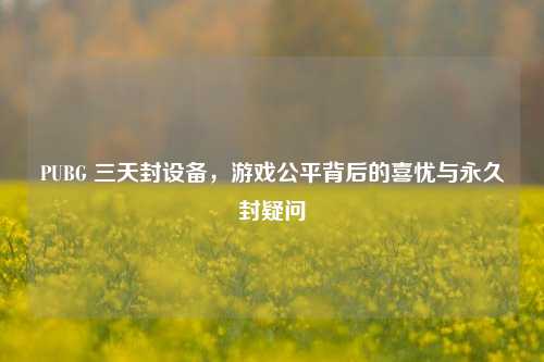 PUBG 三天封设备，游戏公平背后的喜忧与永久封疑问