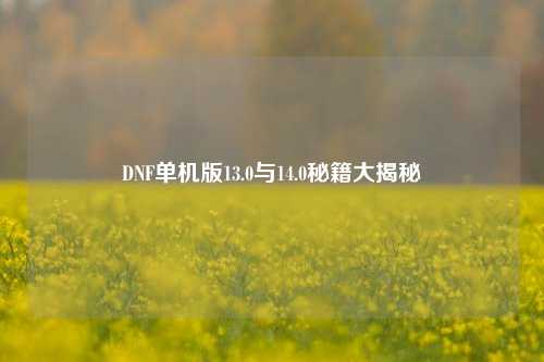 DNF单机版13.0与14.0秘籍大揭秘