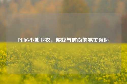 PUBG小熊卫衣,游戏与时尚的完美邂逅