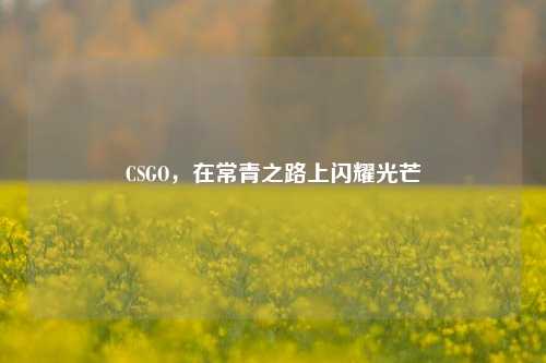 CSGO,在常青之路上闪耀光芒